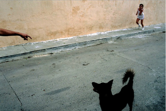 摄影大师才敢用的构图方式——开放式构图!