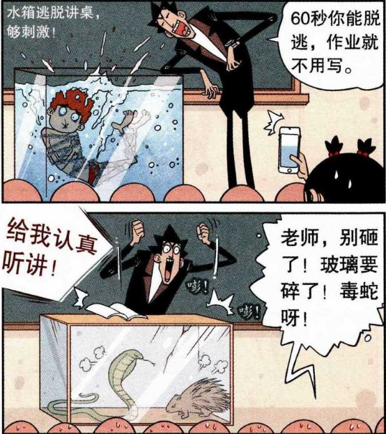 猫小乐:金乘五不满足于普通课桌,竟用讲桌养这东西了