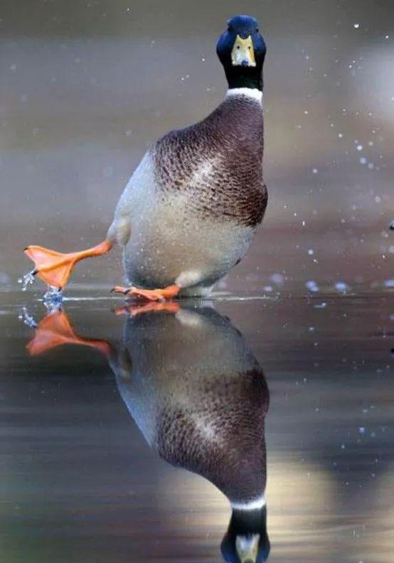 一组惊心动魄的照片!太刺激了!