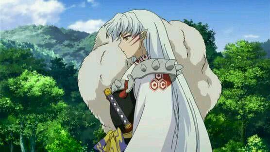 说到高贵冷艳,杀生丸殿下不上榜是对不起群众的.