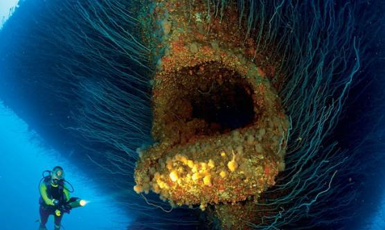 有没有深海恐惧症看完这组图你就知道深海恐惧症者勿入