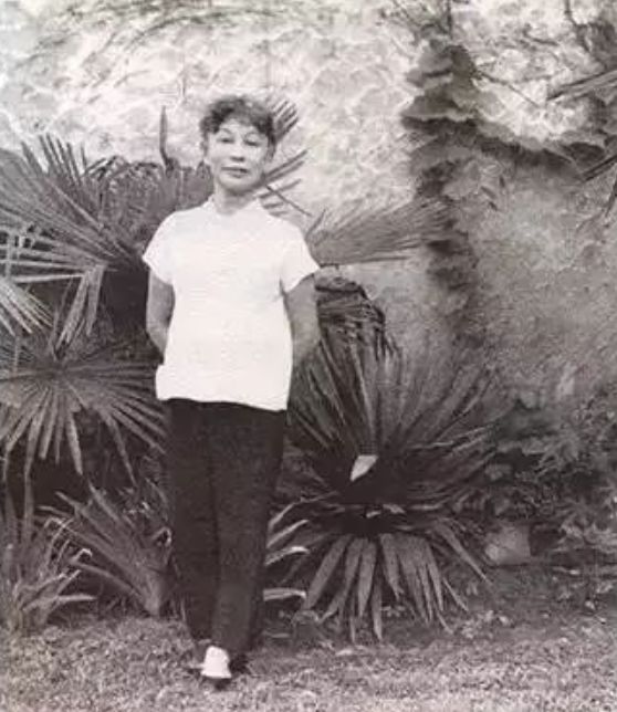 郭婉莹|吴毓骧|戴西_新浪新闻