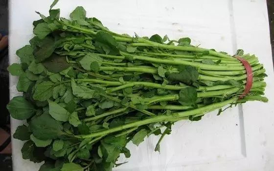 其中维生素c含量是番茄,茄子,萝卜,黄瓜,大白菜等普通蔬菜的5～20倍