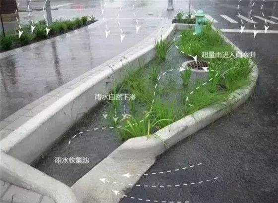 海绵城市 把大自然带到城市中与我们相见|城市|雨水|海绵_新浪新闻