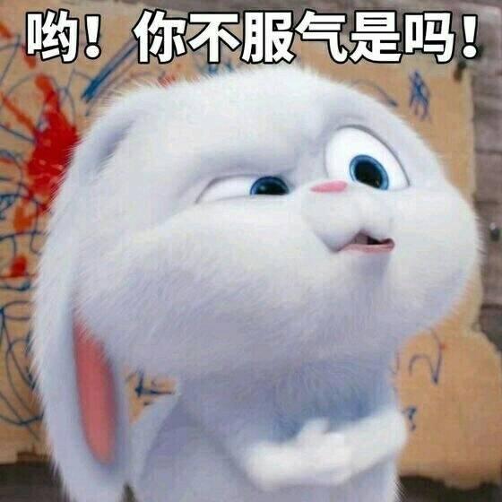 网上最火的那个黑社会兔子|兔子|黑社会|表情包_新浪新闻