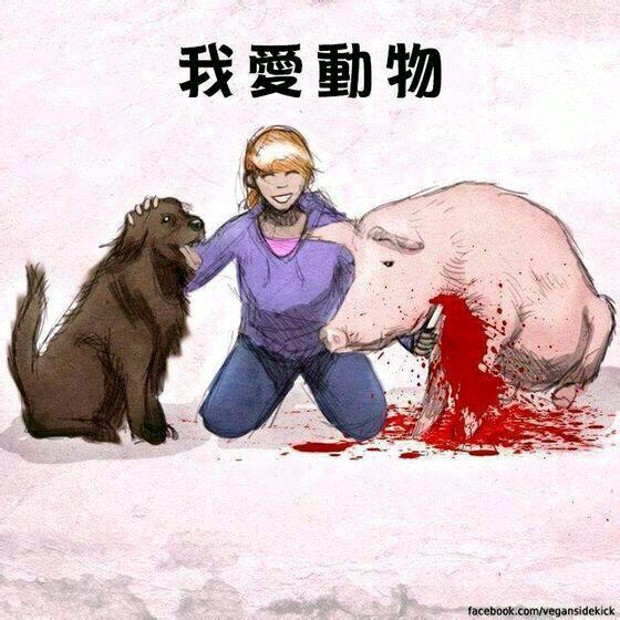 万万没想到等节目,微博大v,贴吧里都常年提到的讽刺爱狗人士的话题