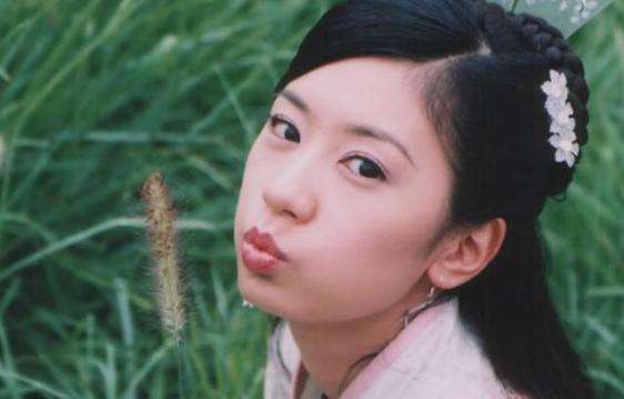 张无忌老婆赵敏:历史上嫁给了朱元璋儿子,最后被逼殉葬