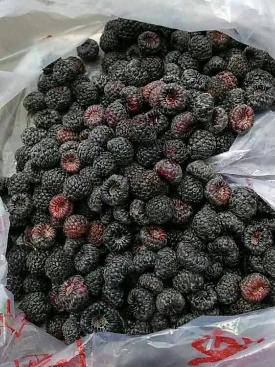 农村的10种野果现在吃的人越来越少吃过3种算你厉害