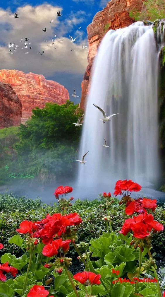 春夏秋冬,四季美景|美景|风景|四季_新浪新闻