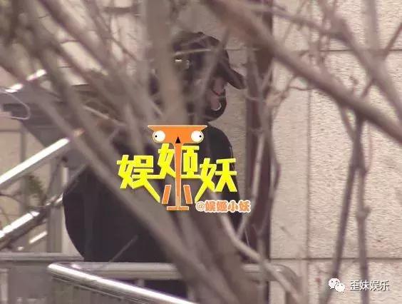 王思聪坐实李小璐PGOne细节被爆出!网友:心疼