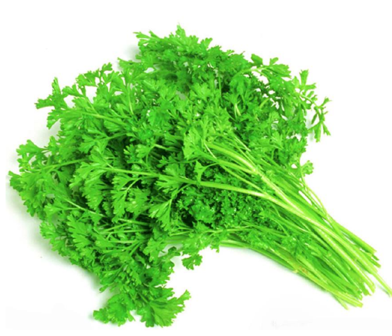 "香菜"也不是谁都可以吃的,这几种人吃,会吃出来病!