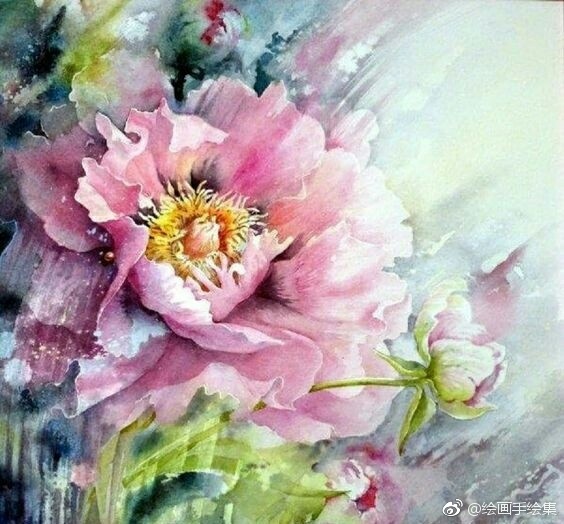 水彩画欣赏,水果,花卉