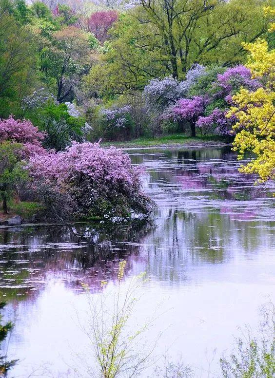 送你绝世美景,养眼又养心!