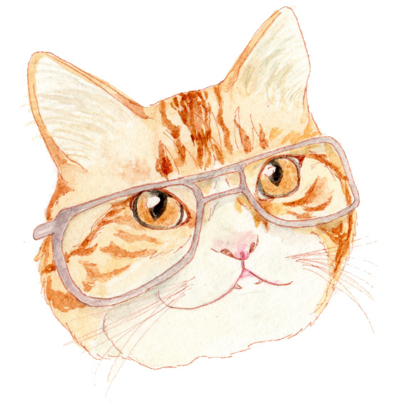 日本插画家noryco 手绘戴眼镜的猫