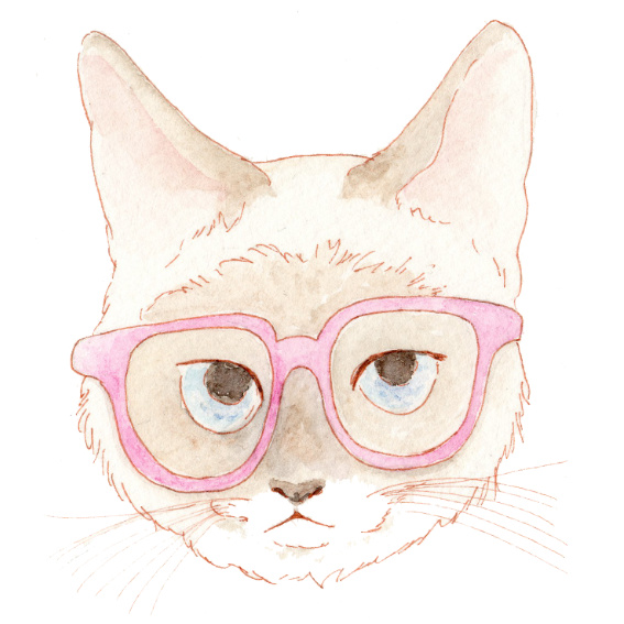 日本插画家noryco 手绘戴眼镜的猫