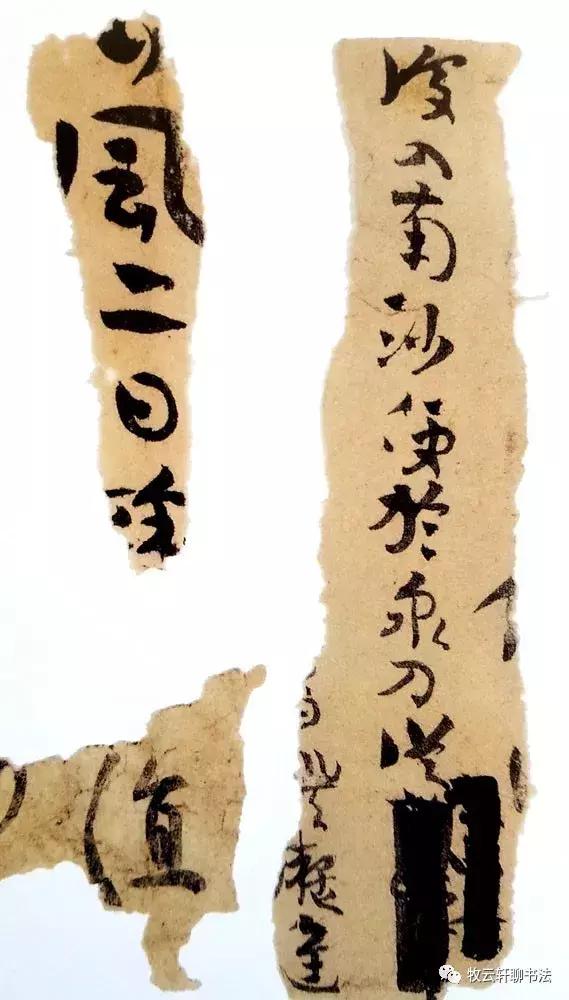 惊艳楼兰残纸里的章草见一个就要抓一个