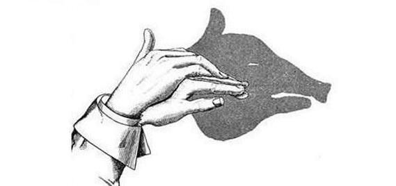 儿童喜爱动物,于是兔子,狗,猫,鸭子,大象等等就成了手影的主要表现