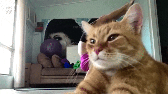 569_320gif 动态图 动图