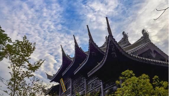 此别应须各努力,故乡犹恐未同归--一天一首古诗