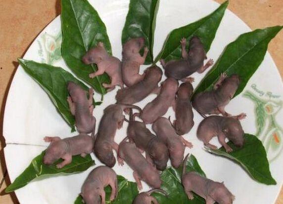 十大禁菜,残忍菜排行, 表示我一个都不会吃!