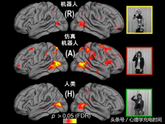 恐怖谷理论为什么一些娃娃会让人产生恐惧