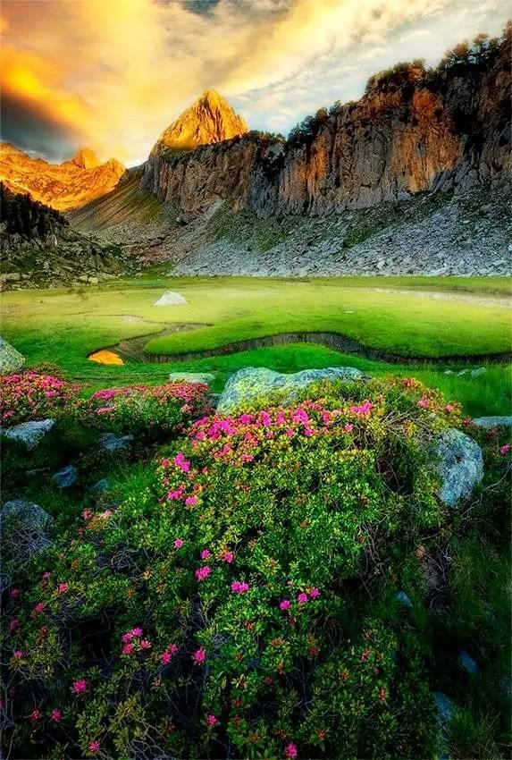 送你绝世美景,养眼又养心!