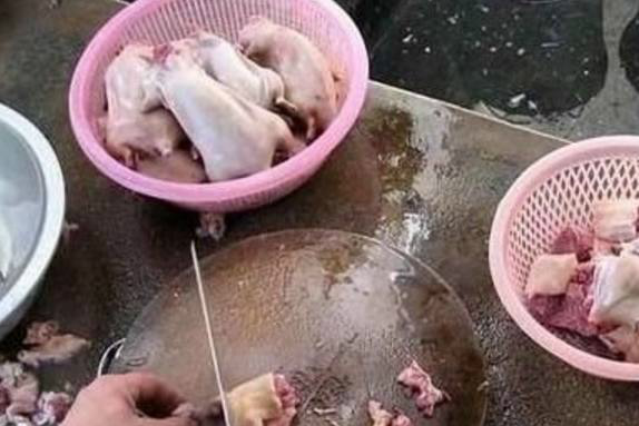 非洲卖的老鼠烤串,不经过任何其他处理一就吃,美元一长串