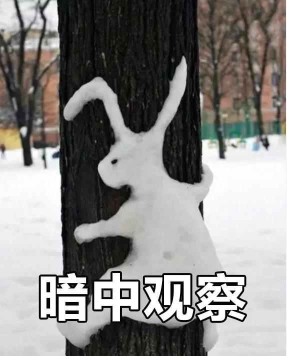 久违的雪 使得喧嚣的城市都放慢了脚步 兴奋的小伙伴们也开始了下雪的