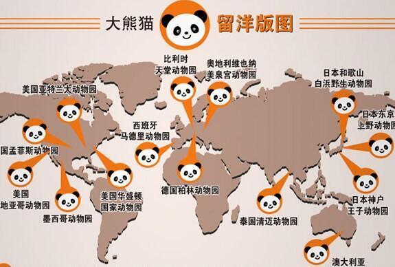 大熊猫谱系图片