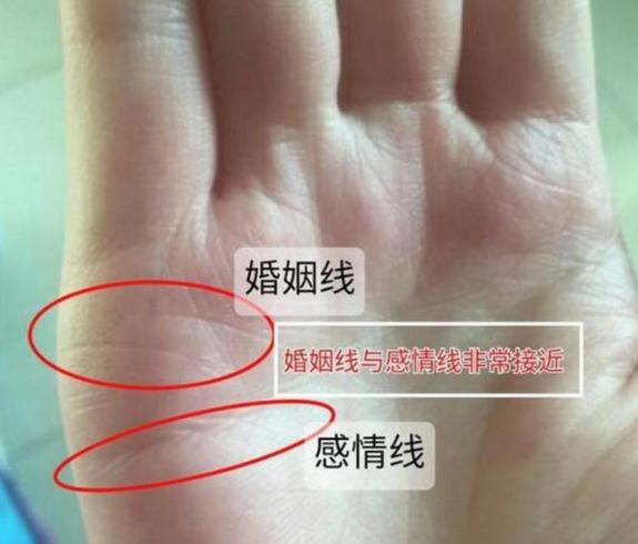 富贵人|婚姻线|断掌_新浪网