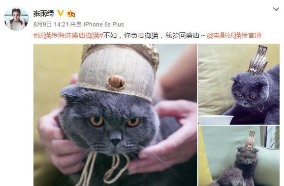 张雨绮加盟陈凯歌新片《妖猫传》演杨贵妃?我给你从外形分析一下