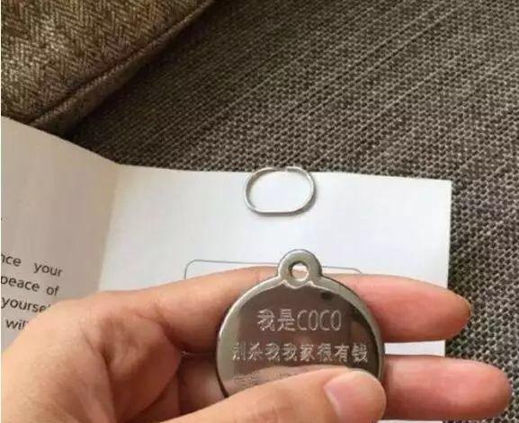王思聪给狗狗定制狗牌,狗牌上的字亮了