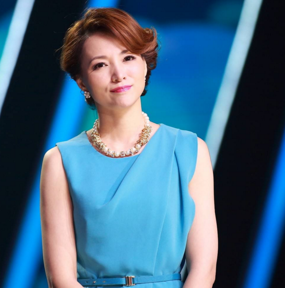 央视最美10大女主持人,个个才华出众气质佳,你最喜欢谁?|央视|主持人|形象_新浪新闻
