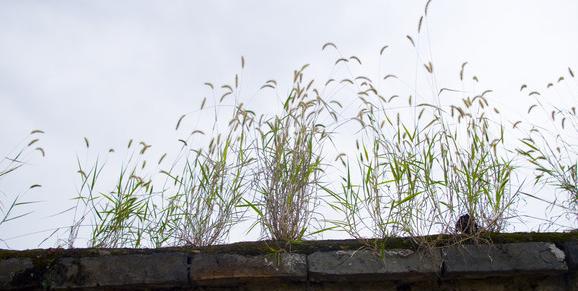 拒绝孩子玩手机的三种回答,反应父母教育方式的差别,你是哪一种