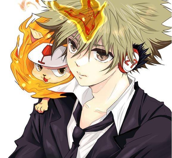 《家庭教师hitman reborn!》泽田纲吉