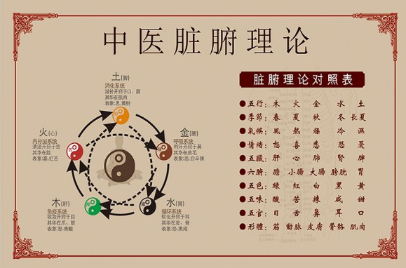 这是因为皮肤是人体最大的器官,也是最大的排毒器官,任何身体内部的