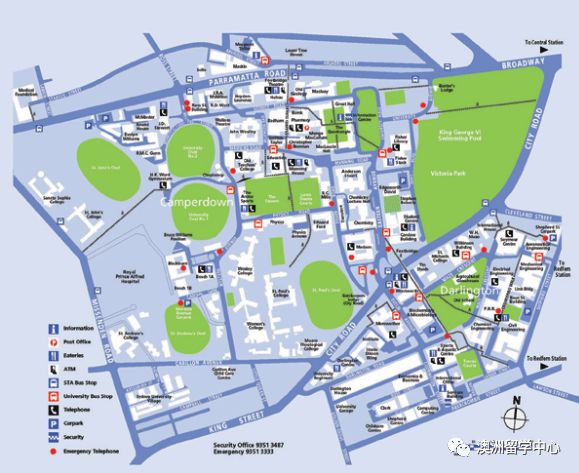留学生|志愿者|悉尼大学_新浪新闻
