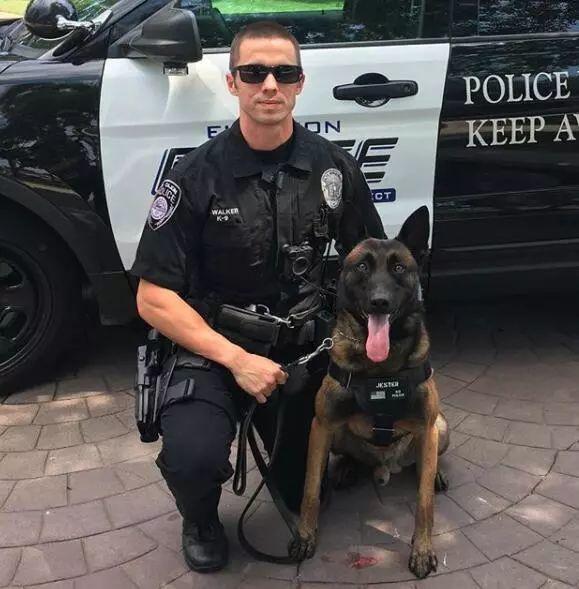 训犬员说怕它长得太吓人装扮成这样出任务这样警犬我还是头一次见