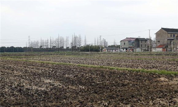 2018年,土地改革新政策,这四类农民土地面临回