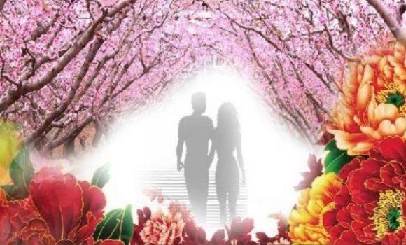 狗年2月开始桃花旺,不再做单身汪,有望遇到真爱的生肖