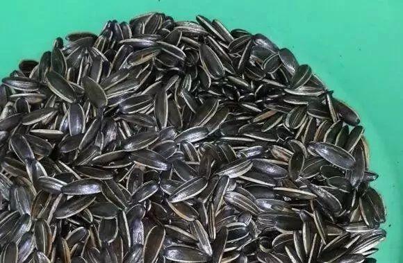 盆里扔2样东西养花10年不烂根叶子油光瓦亮花苞挂满枝头