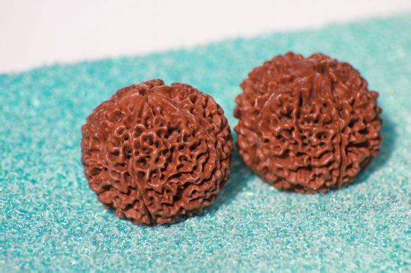 一张图告诉你金刚菩提和落地红的区别!看后你就是老司机了!