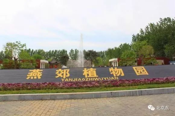 燕郊都有啥?真实的燕郊到底是什么样的?|梦东方|燕郊|植物园_新浪新闻