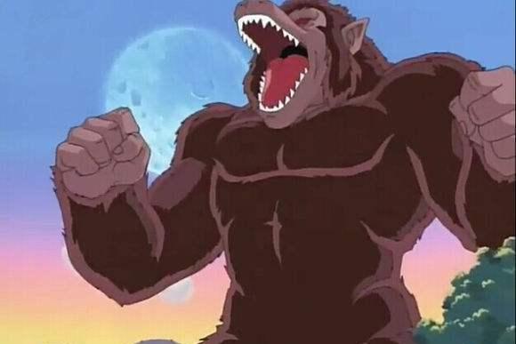 悟空变大猩猩10,得了50万奖金的龟仙人将钱用于何处?