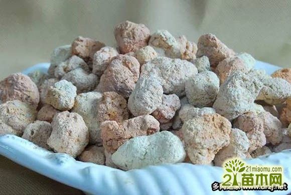 多肉植物种植用什么土好 17种多肉用土推荐