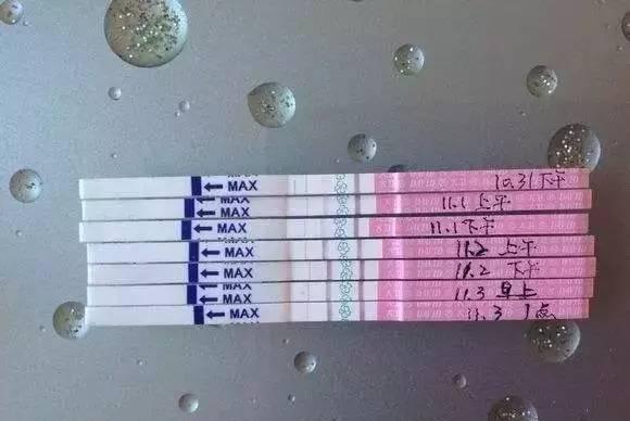 排卵|造人|试纸_新浪新闻
