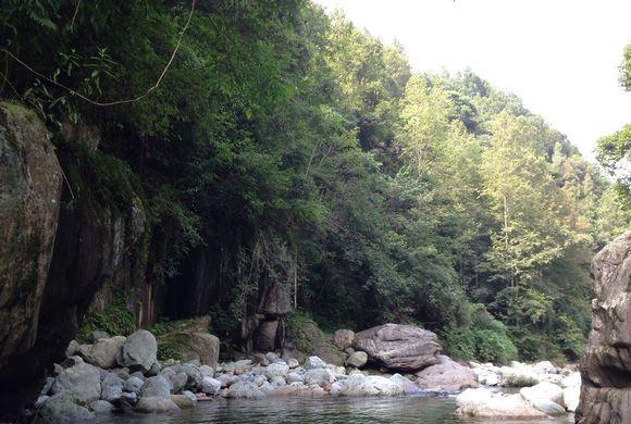 出碧口镇,溯一条清澈的小河而上,片刻功夫便进入了碧峰沟.