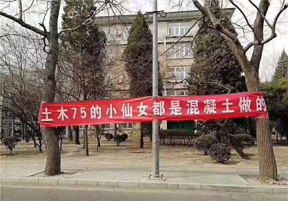 三八妇女节搞笑横幅祝半边天的小仙女们节日快乐