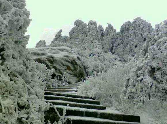 原来海南也下雪历史上曾下过8次