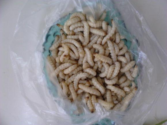 来大自然的有机食材想健康吃不胖你必定要尝尝